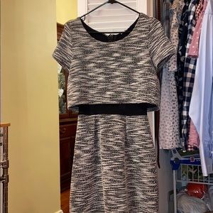 Charlotte Russe Dress